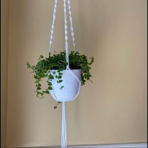 Mácrame plant 🪴hanger